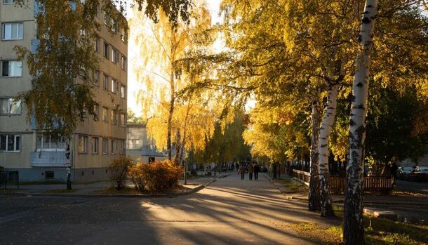 Прогноз погоды в Петербурге на начало октября — солнце и +17, но атмосферное давление 1 октября подскочит до 780 миллиметров, и не всем это пойдёт на пользу