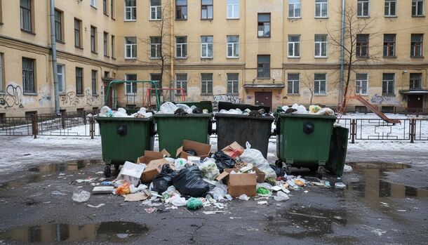 Скопление мусора в Петербурге привело к появлению крыс — жители требуют дератизацию и уборку территорий